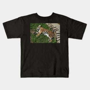 Tiger Cub Kids T-Shirt